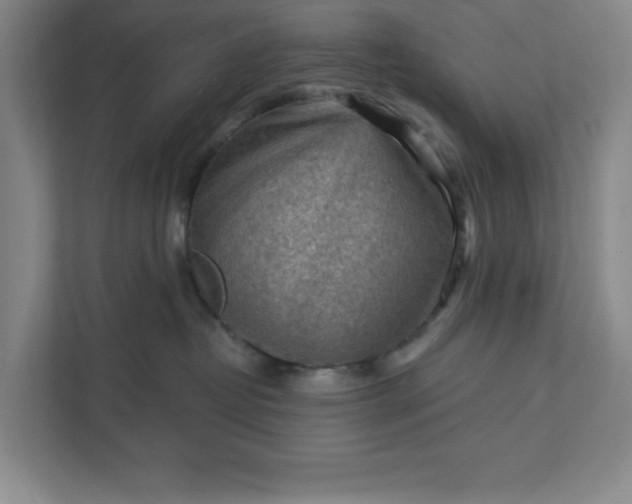 X0000111940382200908101207