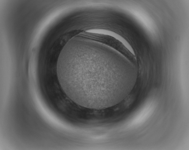 X0000111940383200908101207