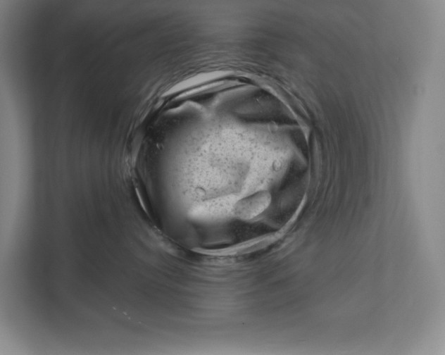 X0000111940384200908101207