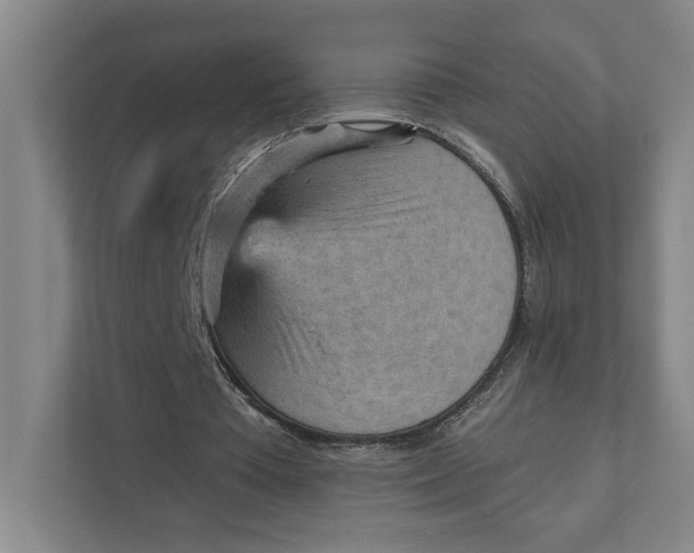 X0000111940385200908101206