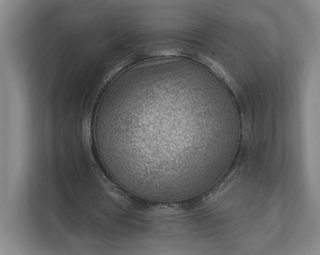 X0000111940386200908101206