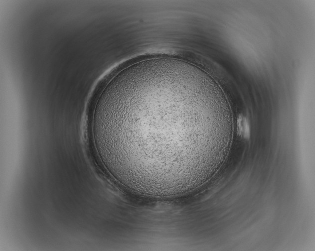 X0000111940388200908101206