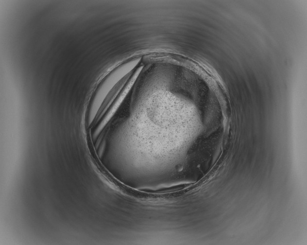 X0000111940389200908101206