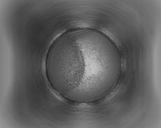 X0000111940390200908101206