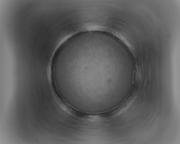 X0000111940391200908101206