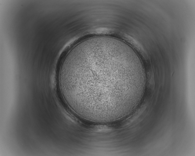 X0000111940392200908101206