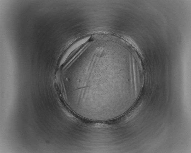 X0000111940393200908101206