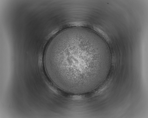 X0000111940394200908101206