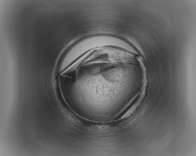 X0000111940395200908101206