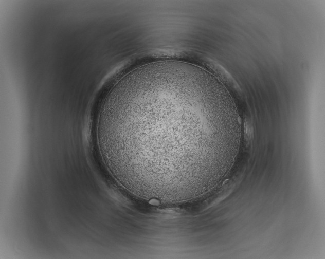 X0000111940396200908101206