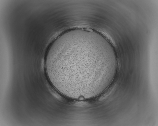 X0000111940397200908101206