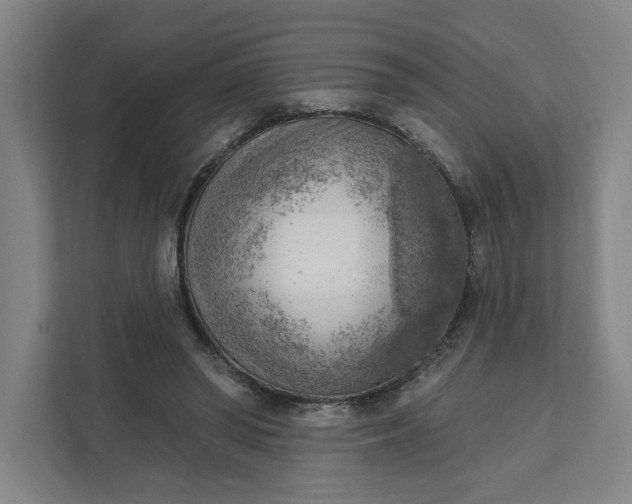 X0000111940398200908101206