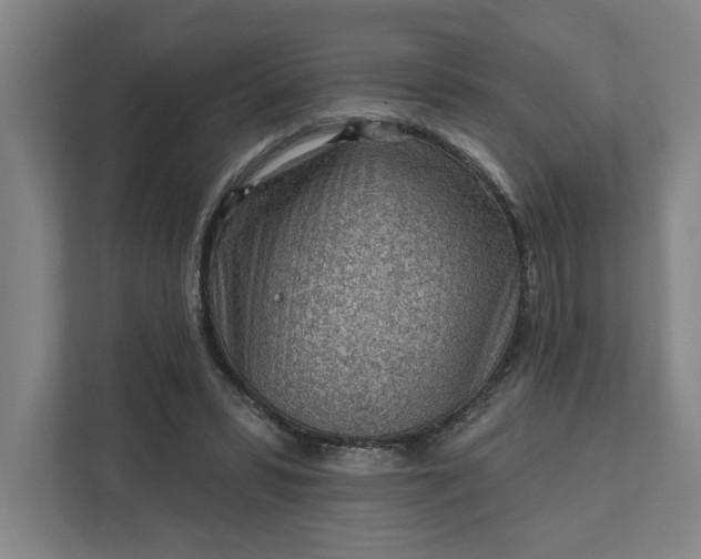 X0000111940399200908101206