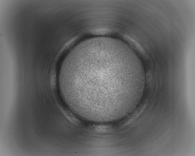 X0000111940400200908101206