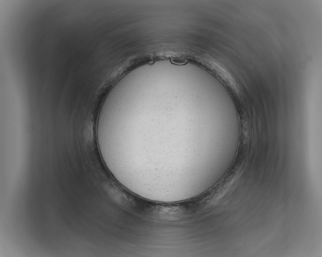 X0000111940401200908101206