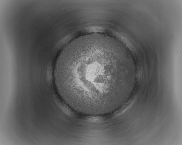 X0000111940402200908101206