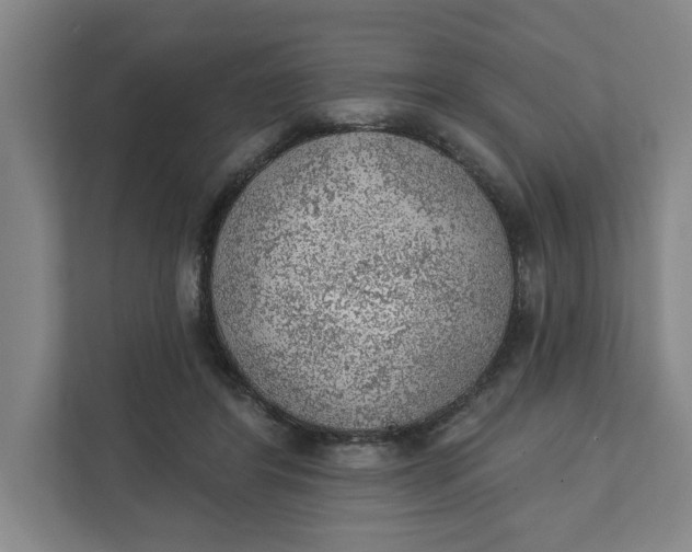 X0000111940404200908101206