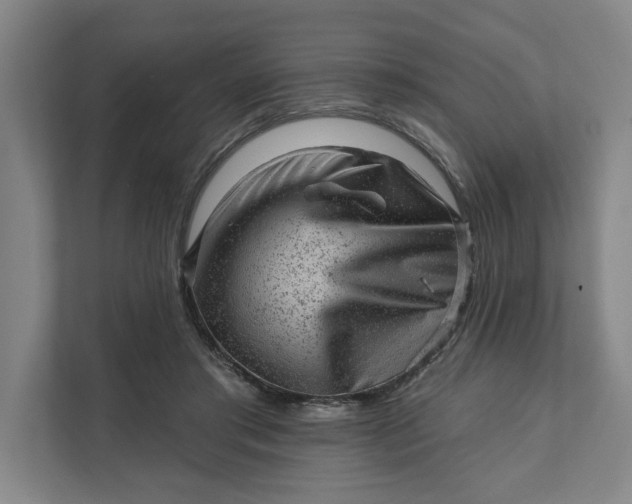 X0000111940405200908101206