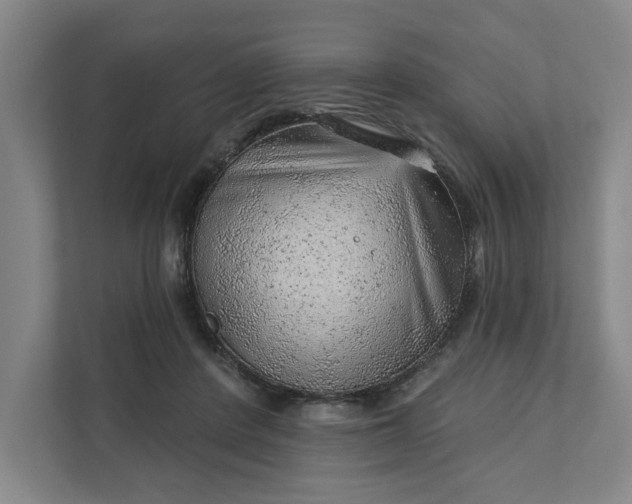 X0000111940408200908101206