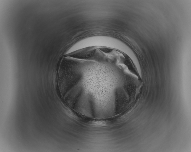 X0000111940409200908101206