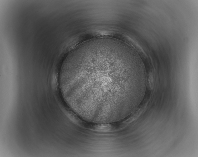 X0000111940410200908101206