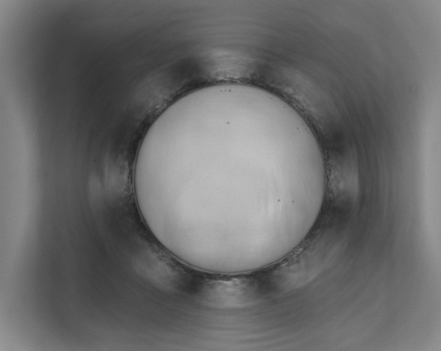 X0000111940411200908101206