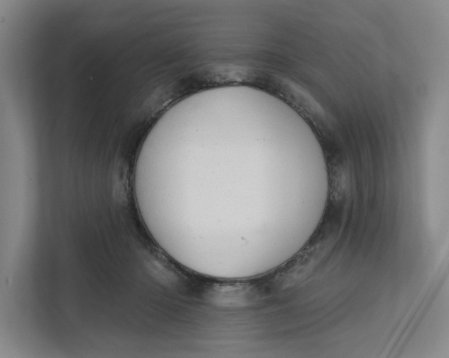 X0000111940414200908101206