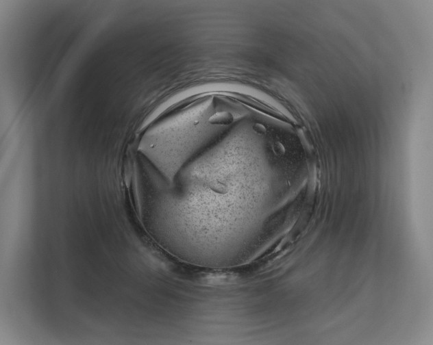 X0000111940415200908101206