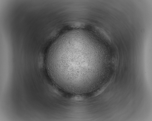 X0000111940416200908101206