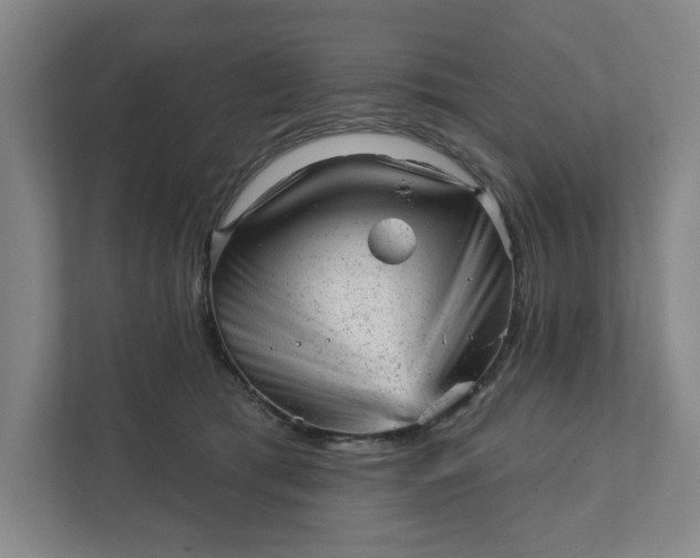 X0000111940417200908101206