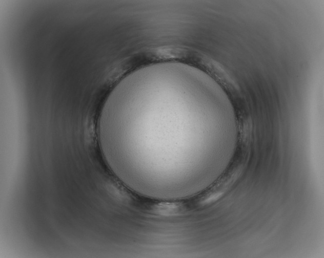 X0000111940418200908101206