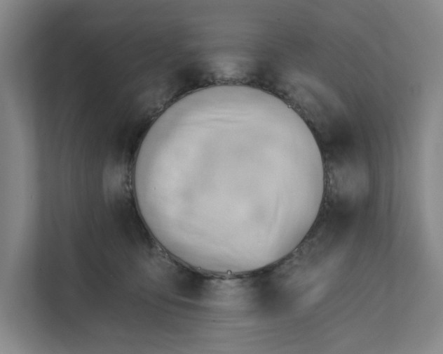 X0000111940419200908101206