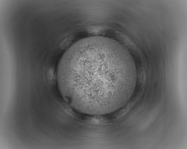 X0000111940420200908101206