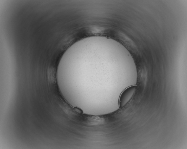 X0000111940421200908101206