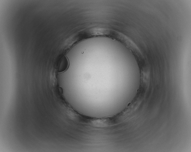 X0000111940422200908101206