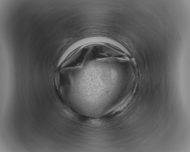 X0000111940423200908101206