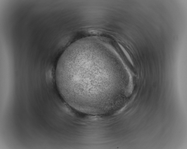 X0000111940424200908101206