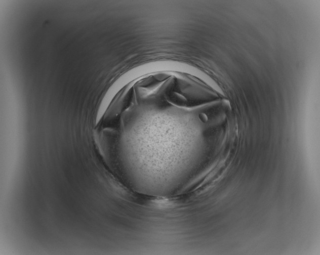 X0000111940425200908101206