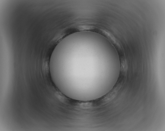 X0000111940426200908101206