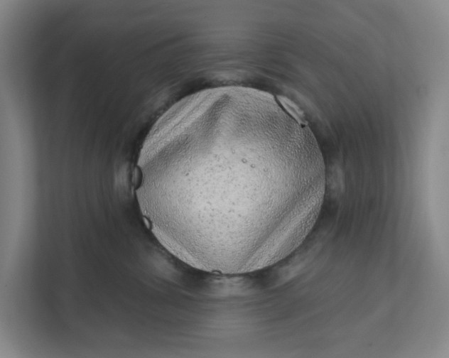 X0000111940428200908101206