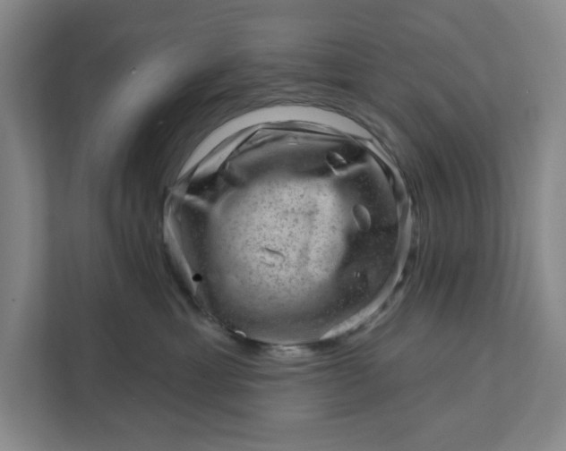 X0000111940429200908101206