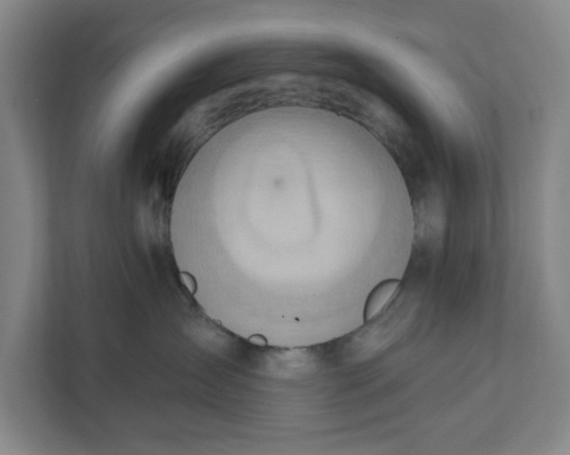 X0000111940431200908101206