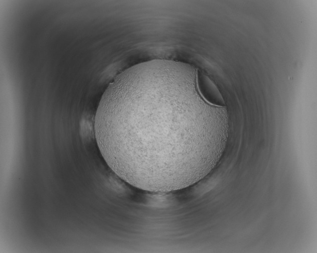 X0000111940432200908101206