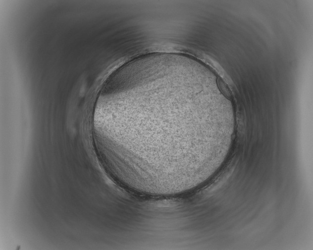 X0000111940433200908101205