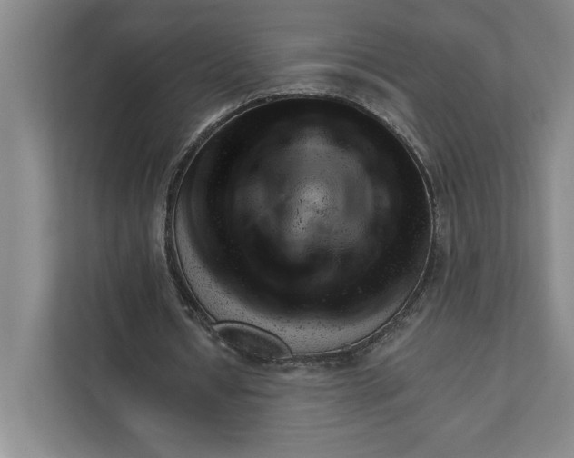 X0000111940434200908101205