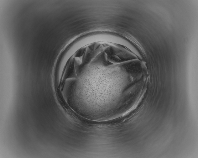 X0000111940436200908101205