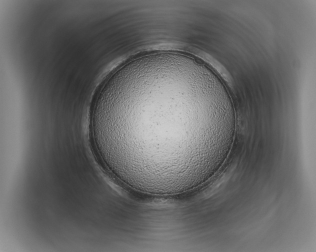 X0000111940437200908101205