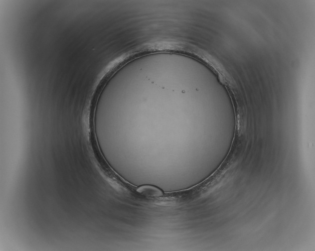 X0000111940438200908101205