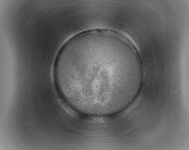 X0000111940439200908101205