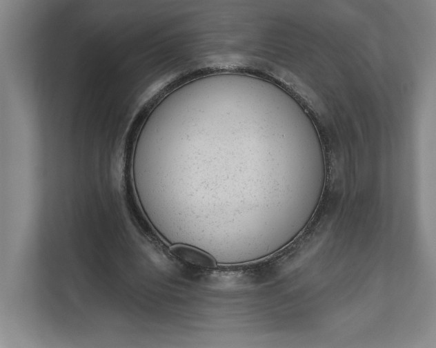 X0000111940440200908101205